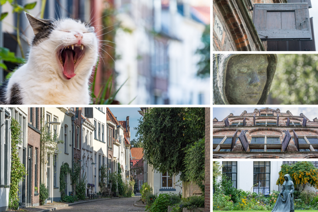 Collage van foto's gemaakt in Zutphen