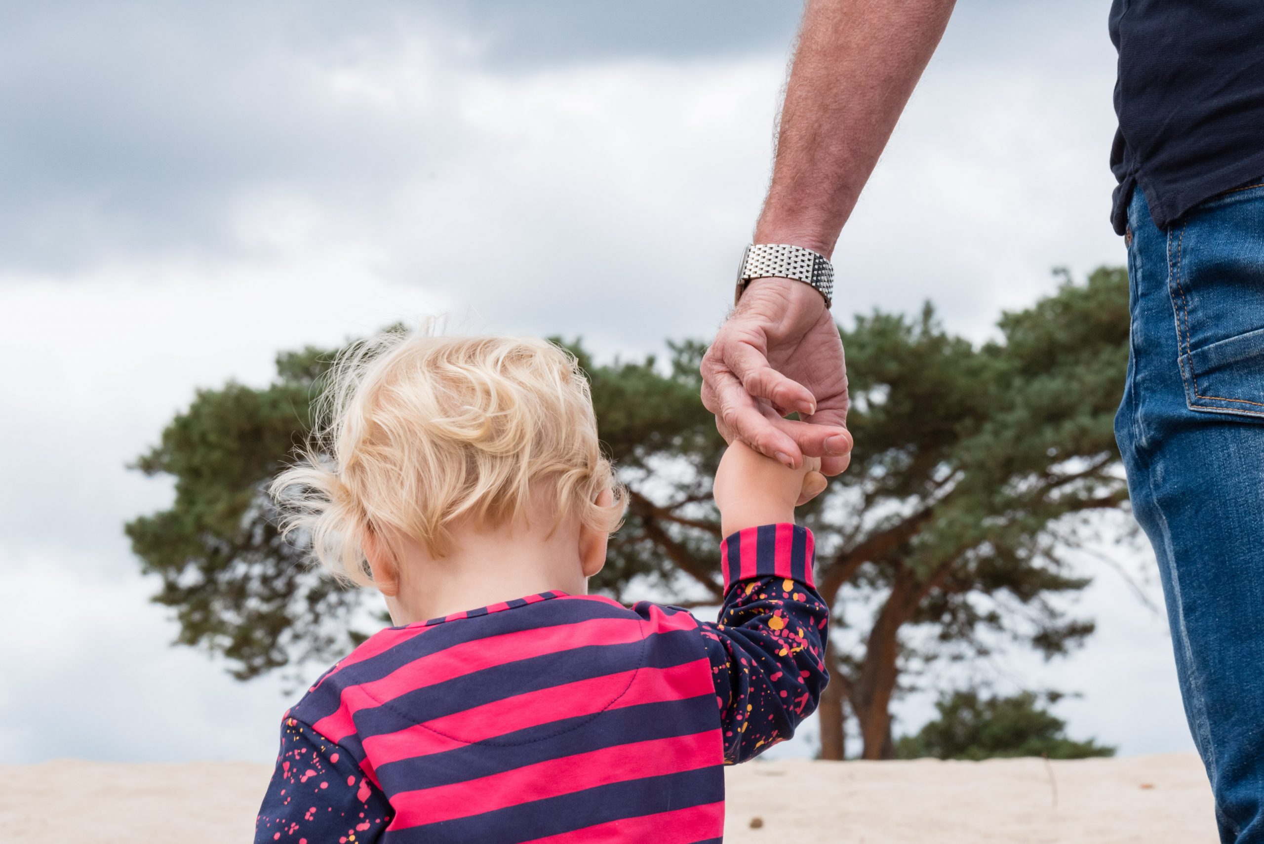 JDWF-Soesterduinen-9933