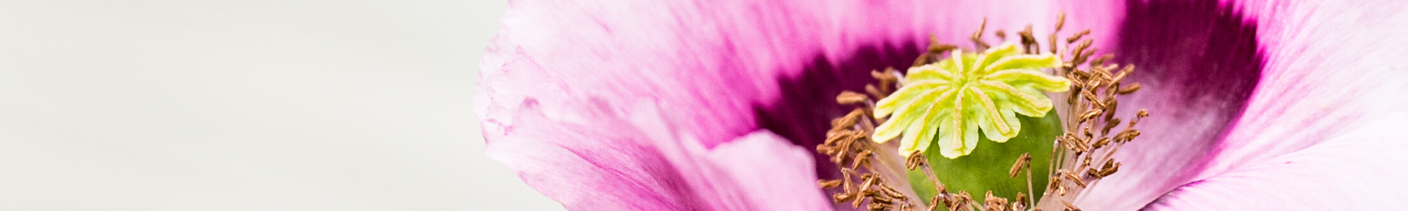 Header afscheid